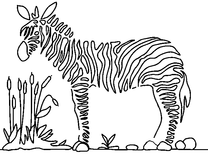 Kolorowa Zebra Kolorowanki Online